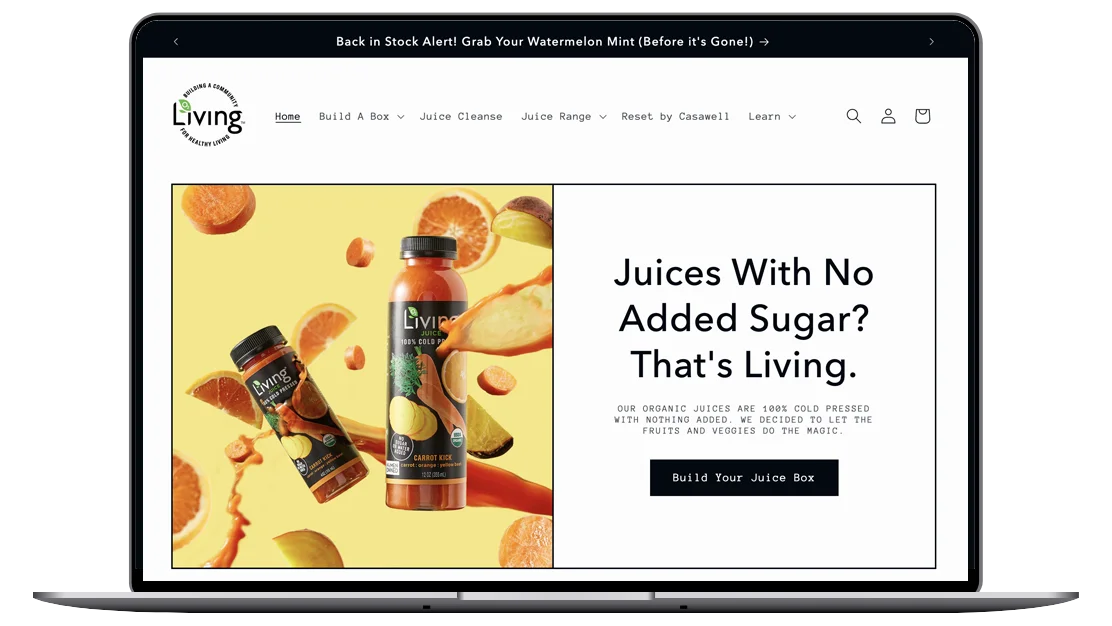 Living Juice website design